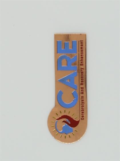 Care Logo Lapel Badge view 3