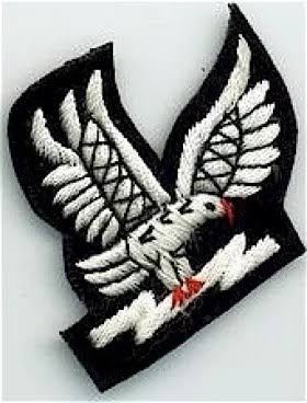 Indian Air Force Badge - Design 08 - Polished Gold finish Defence | Metal Badges