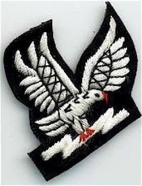 Indian Air Force Badge - Design 08 - Polished Gold finish, Defence by Metal Badges