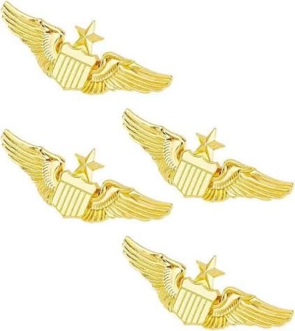 Indian Air Force Badge - Design 18 - Polished Gold finish Defence | Metal Badges