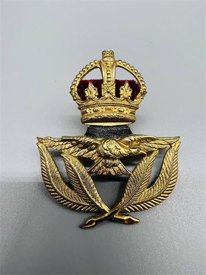 Indian Air Force Badge - Design 20 - Polished Gold finish Defence | Metal Badges