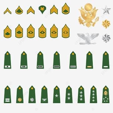 Indian Army Badge - Design 37 - Polished Gold finish, Defence by Metal Badges