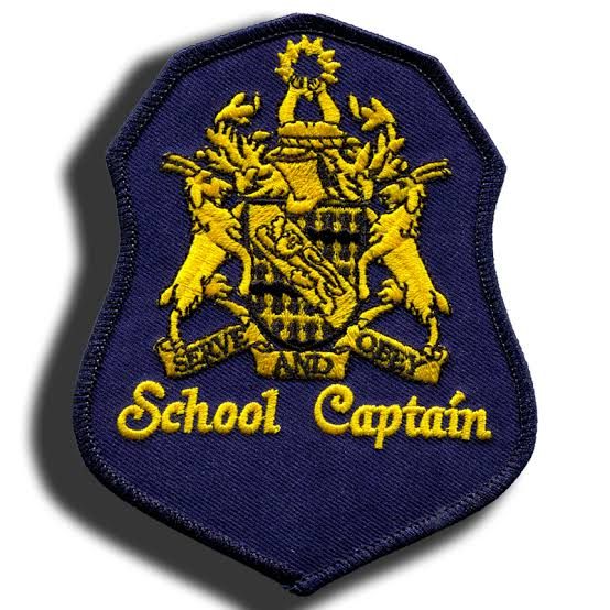 School Badge - Design 02 - Enamel Colour finish, Schools by Metal Badges