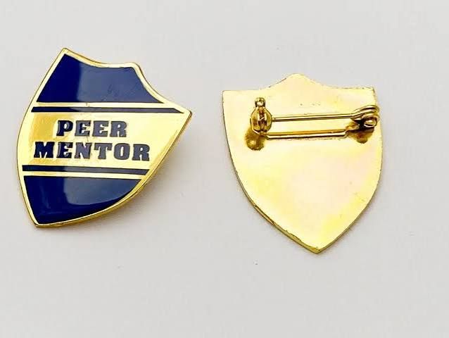 School Badge - Design 06 - Enamel Colour finish, Schools by Metal Badges